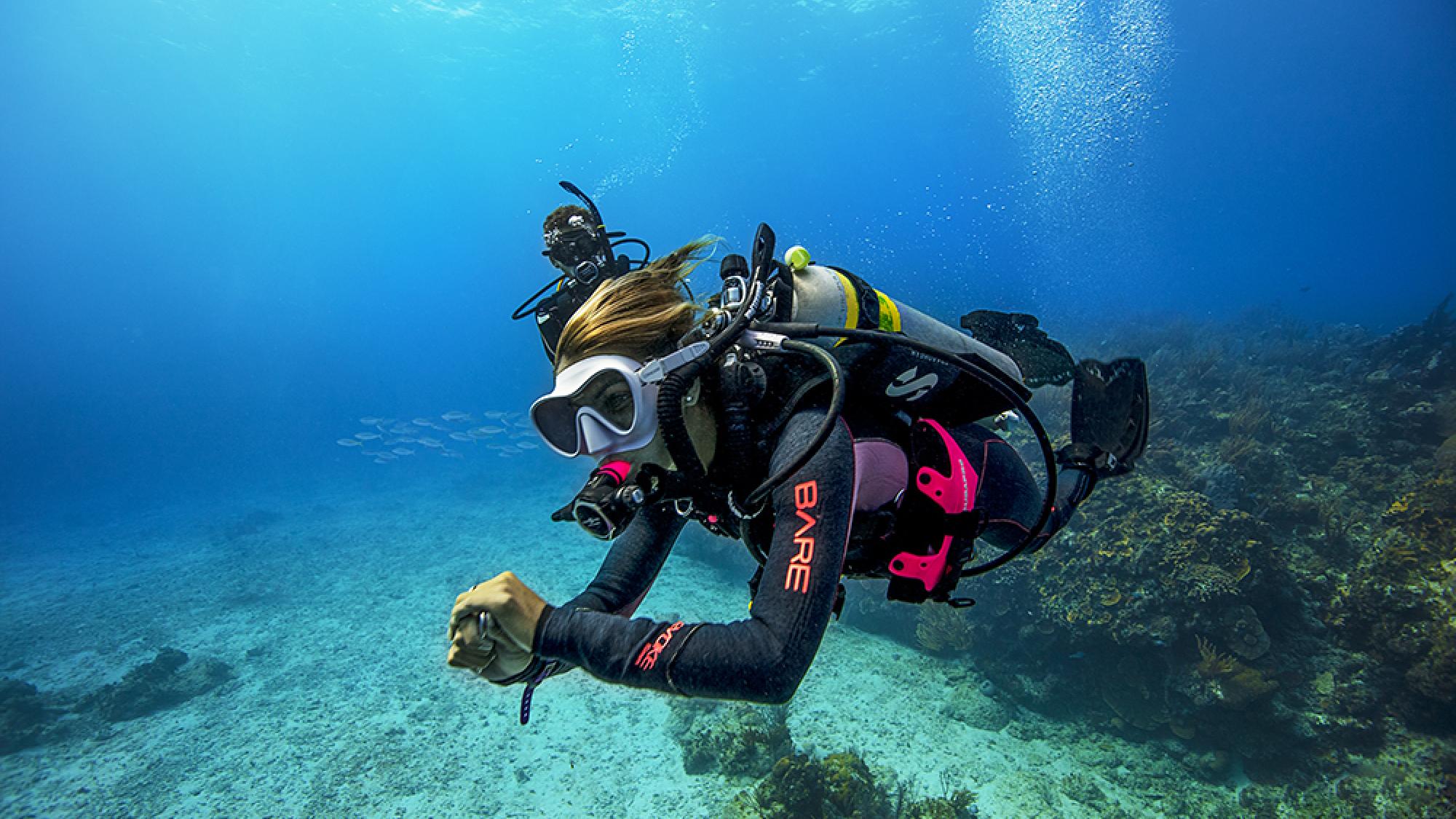 PADI Divemaster Certification Course